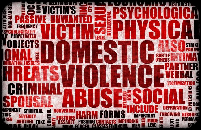 Leon County Domestic Violence Fatality Review – 2012 Annual Report